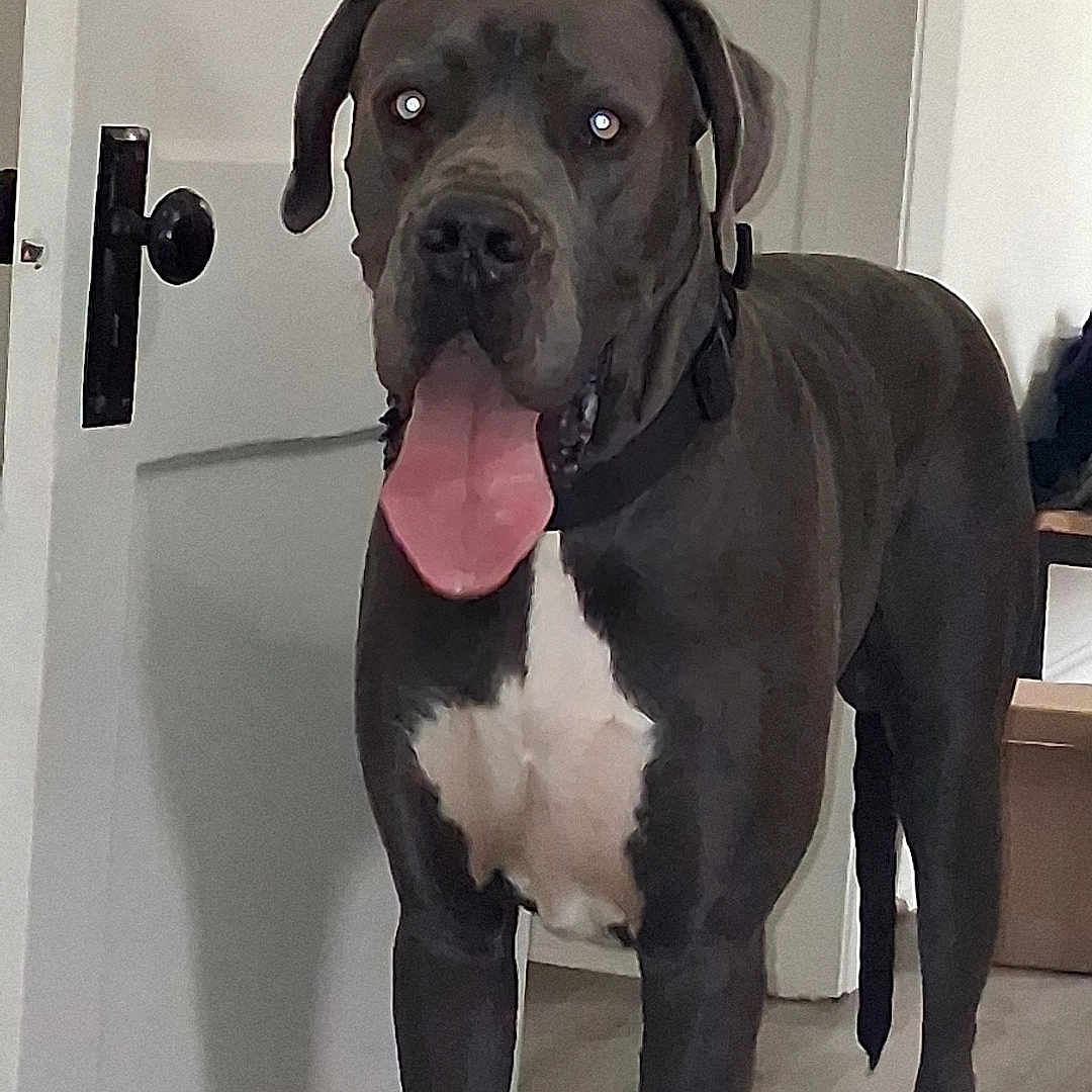Oliver