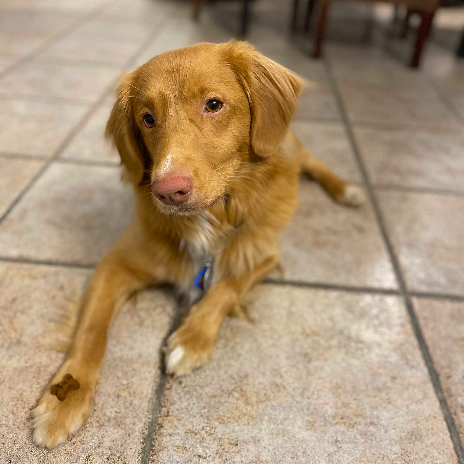 Oakley
