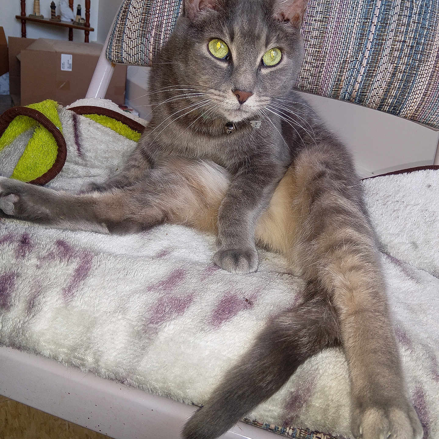Nermal