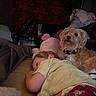Barkley is registered to the contest to win money with this photo: child, dog, sleeping, bed, blanket, pajamas, indoor, lamp, plush_toy, cozy, resting, fur, curly_hair, protective, dim_lighting, patterned_wall, soft_toys, relaxation, home, cute