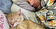 Omelley joined the competition — help win amazing prizes! man, cat, sleeping, blanket, pillow, bed, cozy, indoor, rest, ginger_cat, facial_hair, closed_eyes, comfort, animal, pet, human, blanket_pattern, nap, relaxation, fur