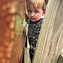 Levi joined the competition — help win amazing prizes! child, curious, peeking, wood, metal, rust, outdoor, face, blue_eyes, blond_hair, casual_clothing, closeup, portrait, young, innocence, droplet, nature, daylight, texture, expression