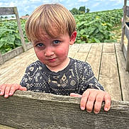 Levi joined the competition — help win amazing prizes! child, blonde_hair, blue_eyes, wooden_fence, sunflower_field, outdoor, daylight, nature, portrait, smiling, casual_clothing, wood, greenery, sky, summer, person, cute, young_child, hand, face