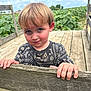 child, blonde_hair, blue_eyes, wooden_fence, sunflower_field, outdoor, daylight, nature, portrait, smiling, casual_clothing, wood, greenery, sky, summer, person, cute, young_child, hand, face