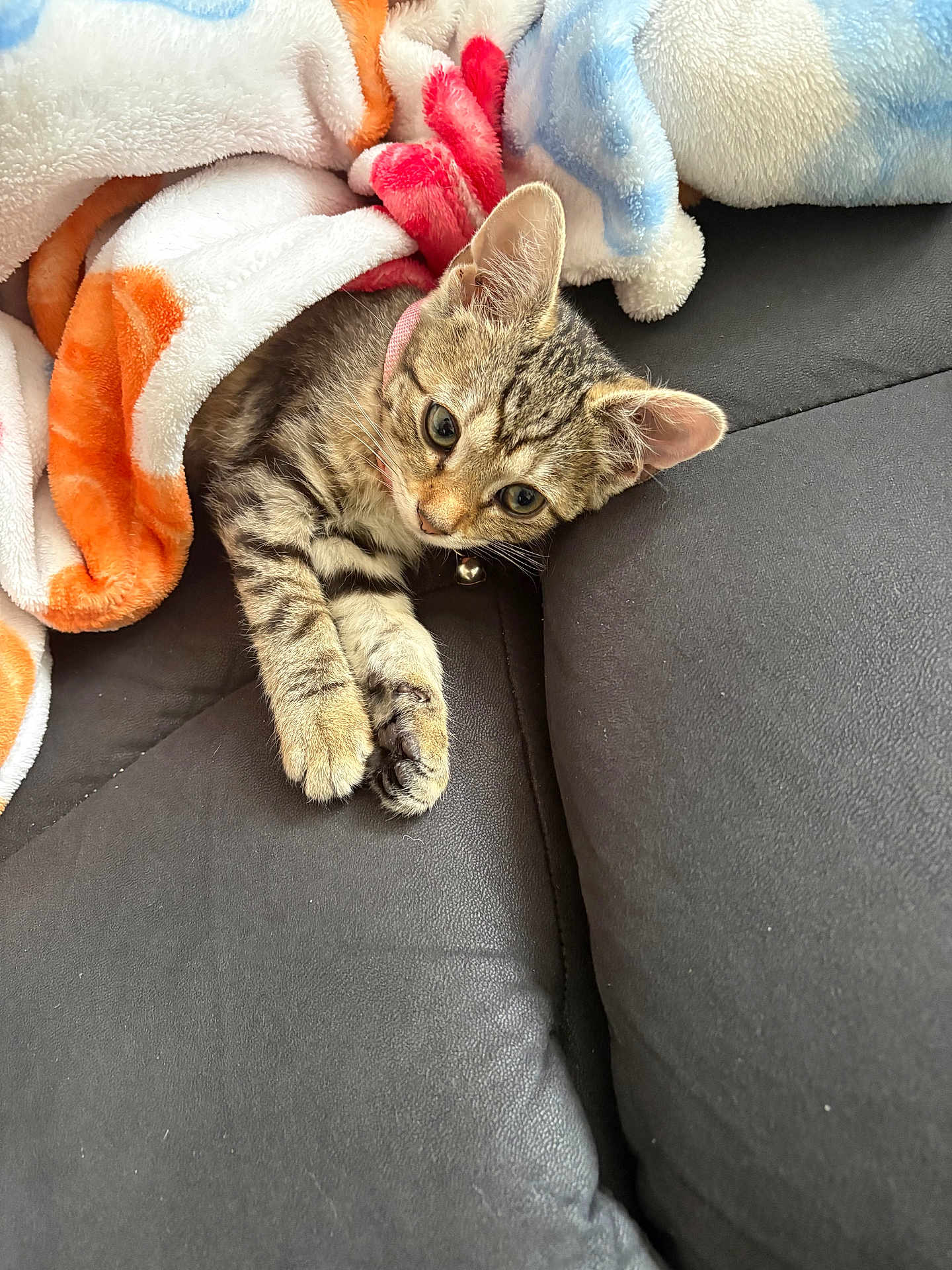 Mia
