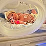 baby, newborn, incubator, hospital, medical_equipment, monitoring_wires, blanket, hat, infant, healthcare, bed, teddy_bear, patient, cute, lying_down, premature_baby, care, sleeping, pink_bandage, nursery