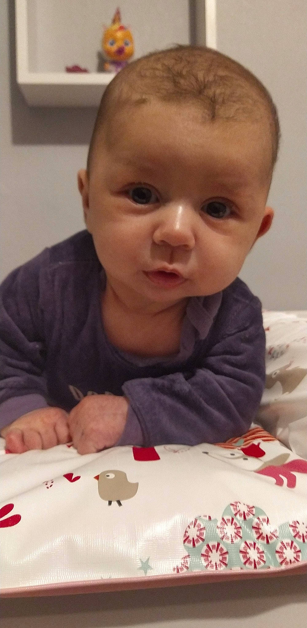 Shana participe au concours pour gagner de l'argent avec cette photo : baby, baby_toddler_clothing, cheek, child, chin, comfort, face, finger, flooring, forehead, fun, head, iris, lip, mouth, nose, person, sitting, skin, toddler