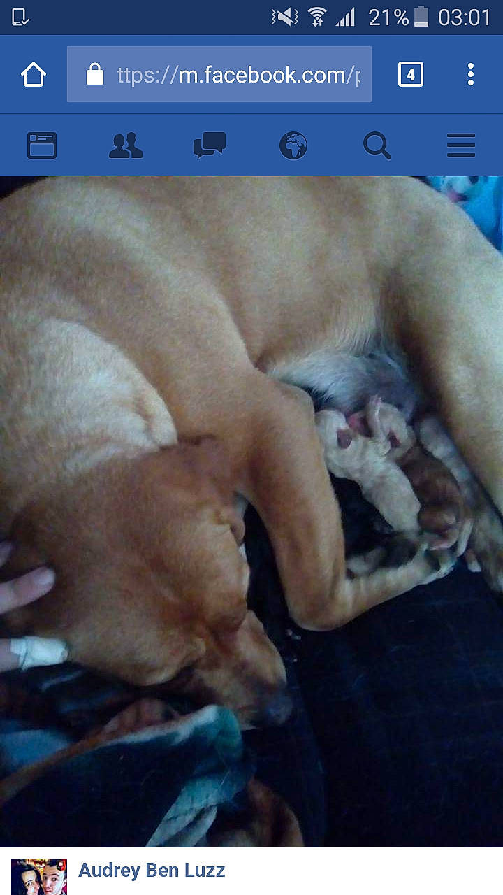 Gipsy participe au concours pour gagner de l'argent avec cette photo :