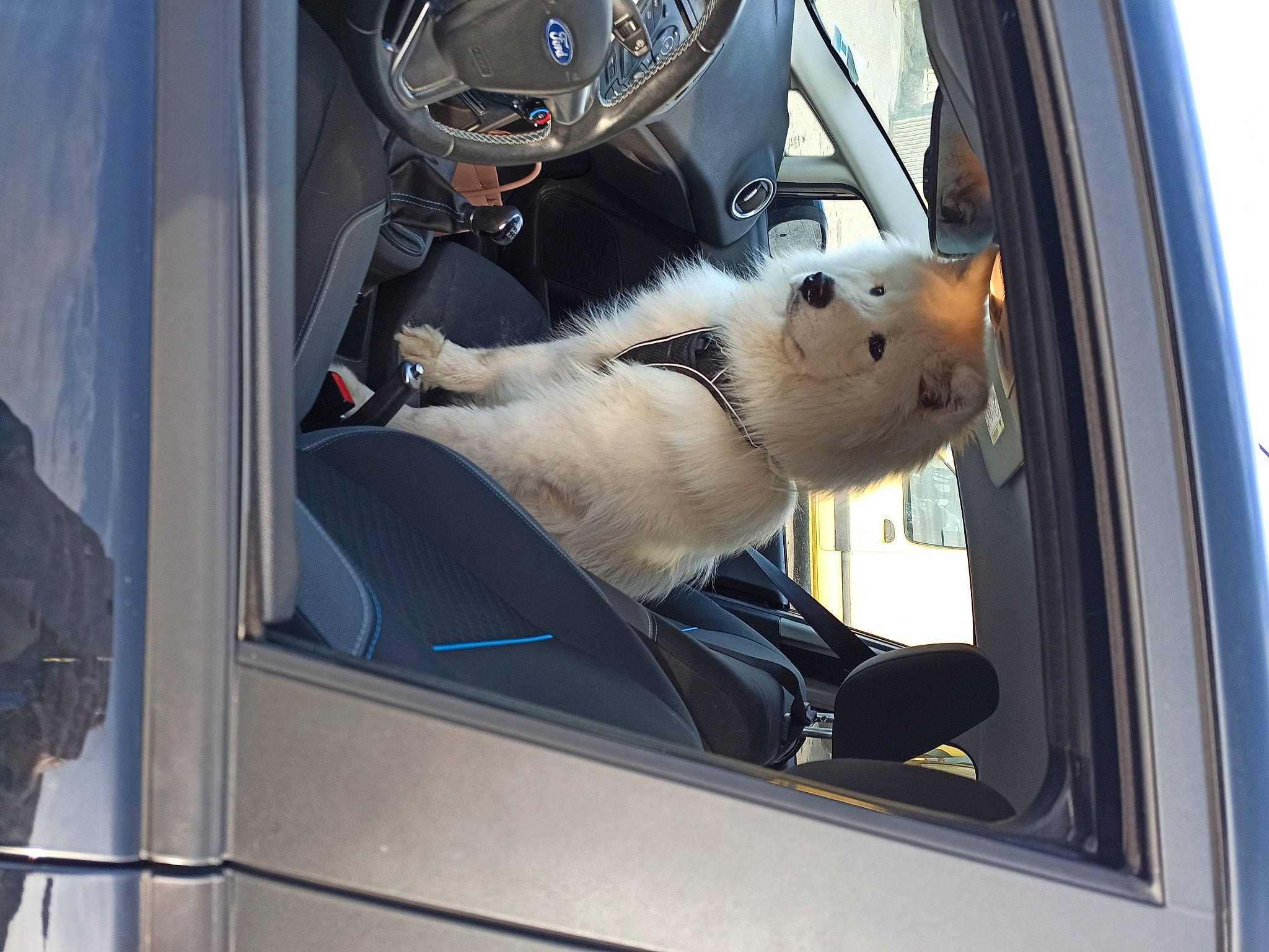 Korben a rejoint le concours — aidez-le/la à gagner de superbes lots ! auto_part, automotive_design, automotive_exterior, automotive_lighting, automotive_mirror, car, car_seat, carnivore, felidae, hood, mode_of_transport, motor_vehicle, rear_view_mirror, snout, steering_wheel, stuffed_toy, vehicle, vehicle_door, windscreen_wiper, windshield