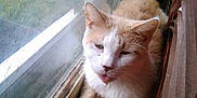 Buddy is registered to the contest to win money with this photo: