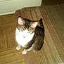 Nucetz is registered to the contest to win money with this photo: