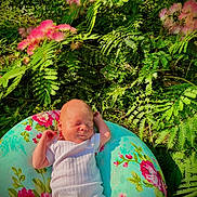 Kennedy is registered to the contest to win money with this photo: baby, newborn, infant, sleeping, cushion, floral_pattern, greenery, ferns, pink_flowers, outdoor, nature, sunlight, peaceful, relaxing, person, white_clothing, grass, garden, flora, portrait