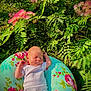 baby, newborn, infant, sleeping, cushion, floral_pattern, greenery, ferns, pink_flowers, outdoor, nature, sunlight, peaceful, relaxing, person, white_clothing, grass, garden, flora, portrait