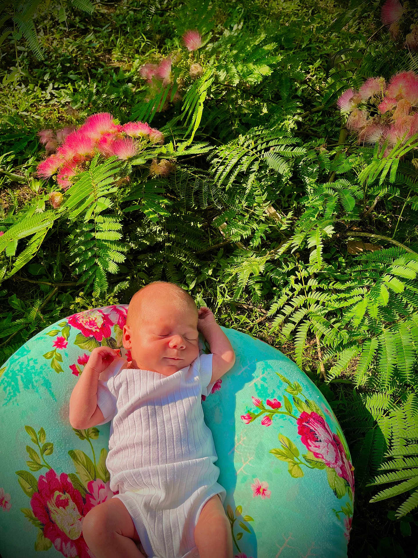 Kennedy is registered to the contest to win money with this photo: baby, newborn, infant, sleeping, cushion, floral_pattern, greenery, ferns, pink_flowers, outdoor, nature, sunlight, peaceful, relaxing, person, white_clothing, grass, garden, flora, portrait