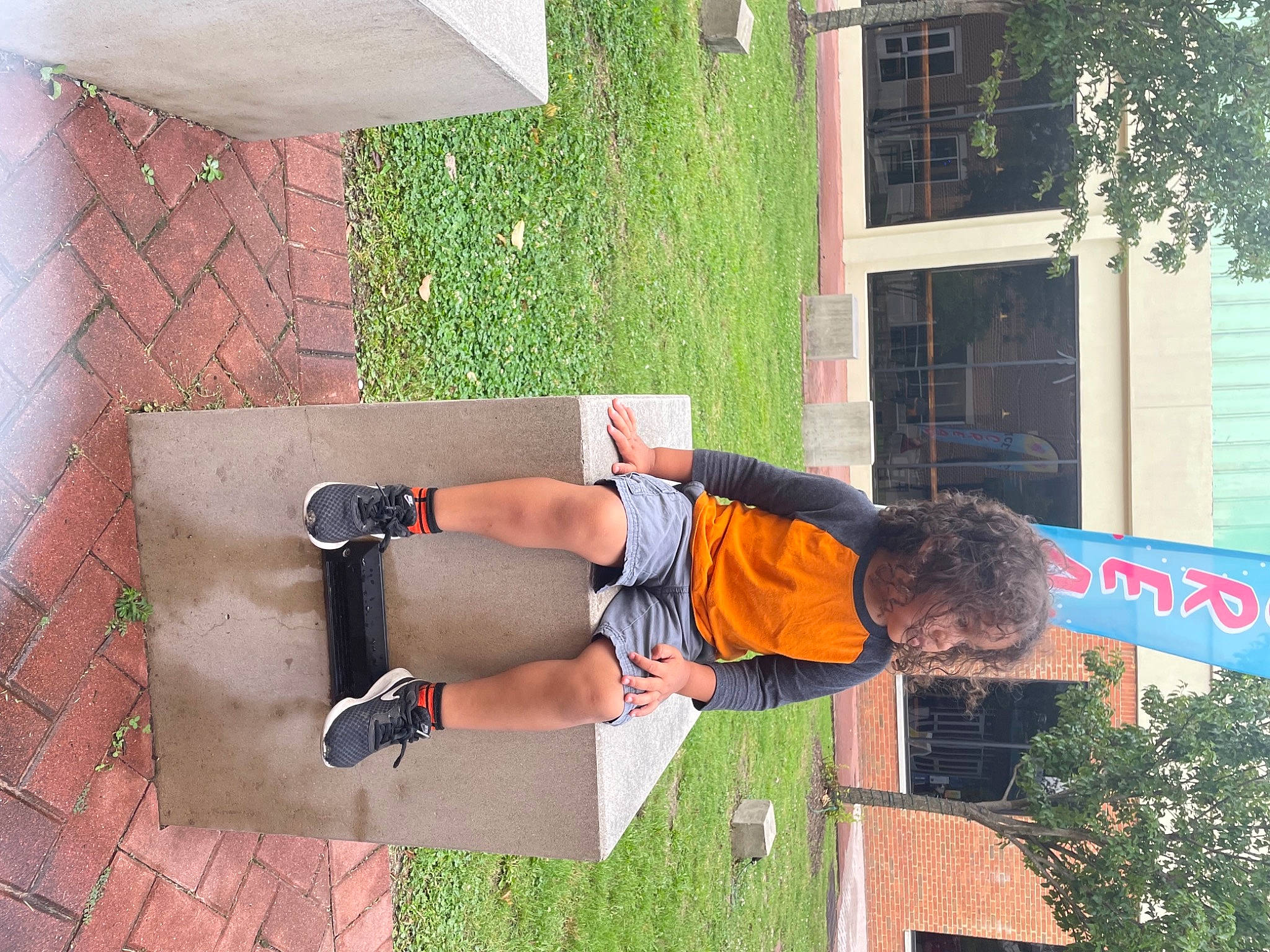 Hunter joined the competition — help win amazing prizes! arm, brickwork, elbow, fun, grass, human_leg, knee, leisure, person, plant, shorts, sitting, sportswear, street_fashion, t_shirt, thigh, tree, window, wrist, yard