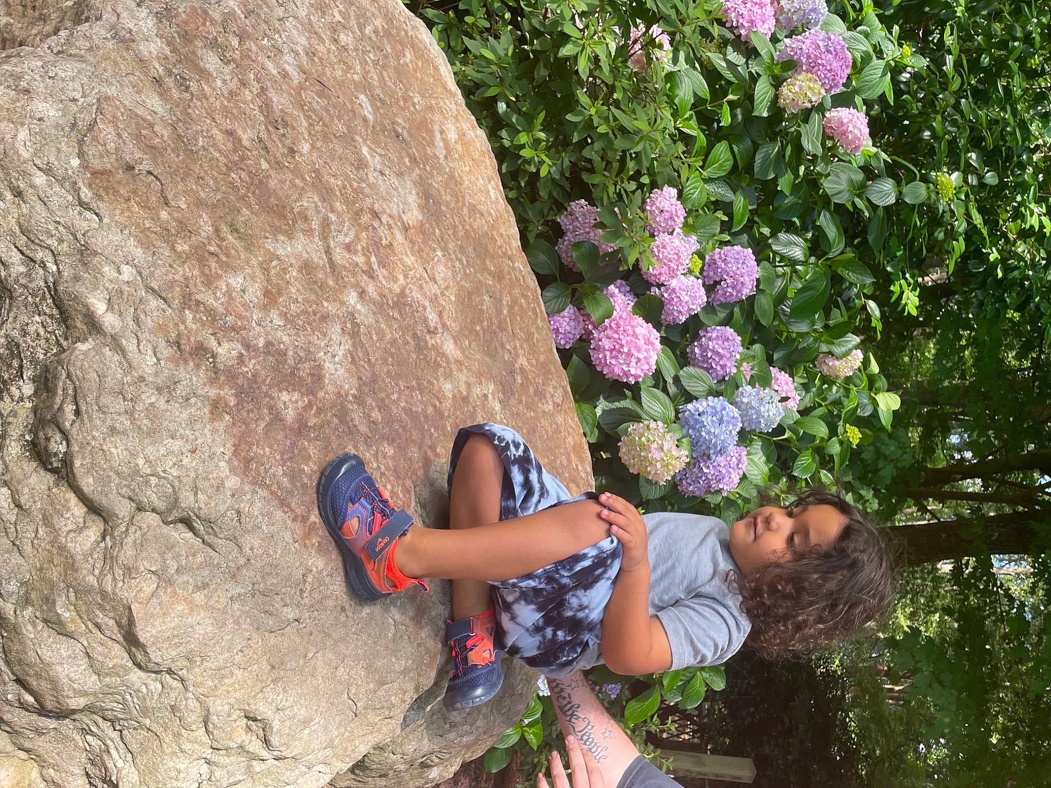 Hunter joined the competition — help win amazing prizes! annual_plant, bedrock, climbing, flower, fun, grass, hat, landscape, leisure, outcrop, people_in_nature, person, petal, plant, recreation, rock, rock_climbing_equipment, rose_family, shrub, t_shirt