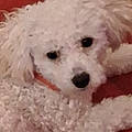 Tammie W.