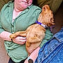 person, dog, puppy, glasses, green_shirt, watch, jeans, carpet, resting, sleeping, indoor, comfort, relaxation, pet, cuddling, casual_clothing, brown_dog, purple_collar, human_hand, closeup