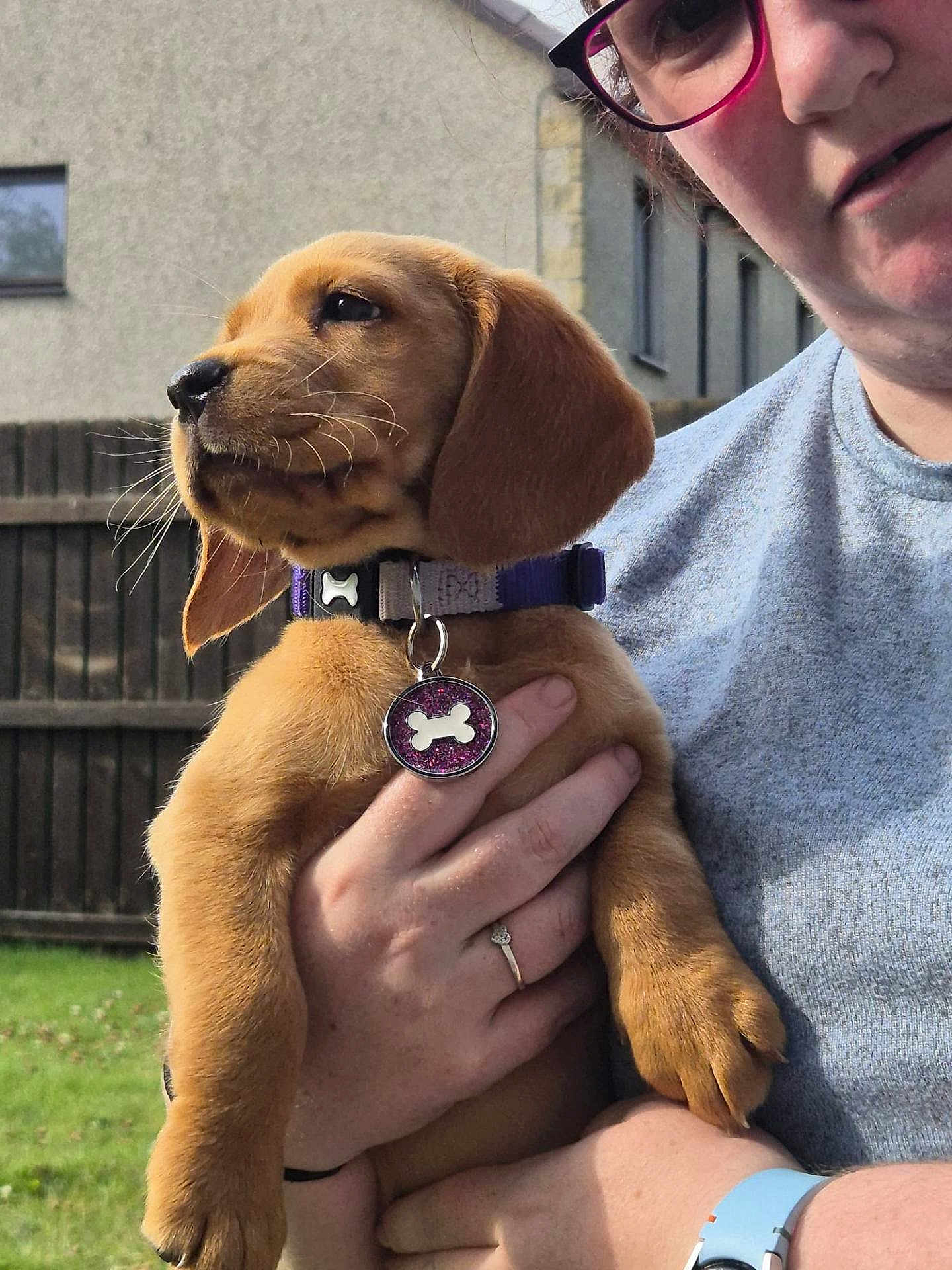Nala
