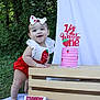 Leilani joined the competition — help win amazing prizes! baby, child, cake, pink_cake, strawberry, strawberry_patch, outdoor, greenery, wooden_crate, white_cloth, headband, smiling, celebration, half_birthday, food, sign, person, grass, nature, cute