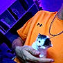 kitten, cat, kitten_face, hand, orange_shirt, chain_necklace, indoor, purple_lighting, bedroom, shelf, clothing, pet, cute, tiny, domestic_animal, holding, closeup, fur, person, neon