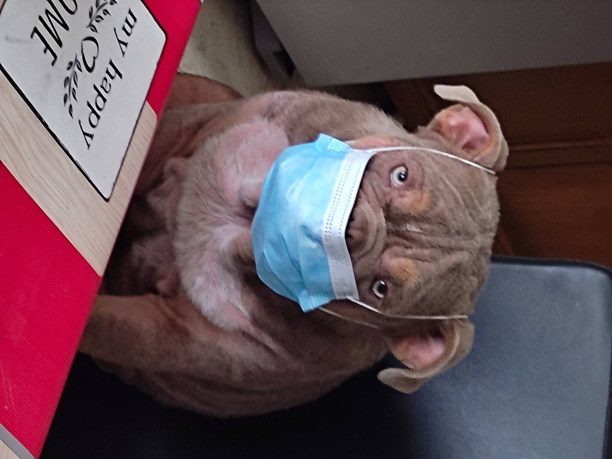 Saïko a rejoint le concours — aidez-le/la à gagner de superbes lots ! carmine, comfort, finger, flesh, gesture, meat, nail, paper_product, room, thumb, wood, wrinkle, wrist