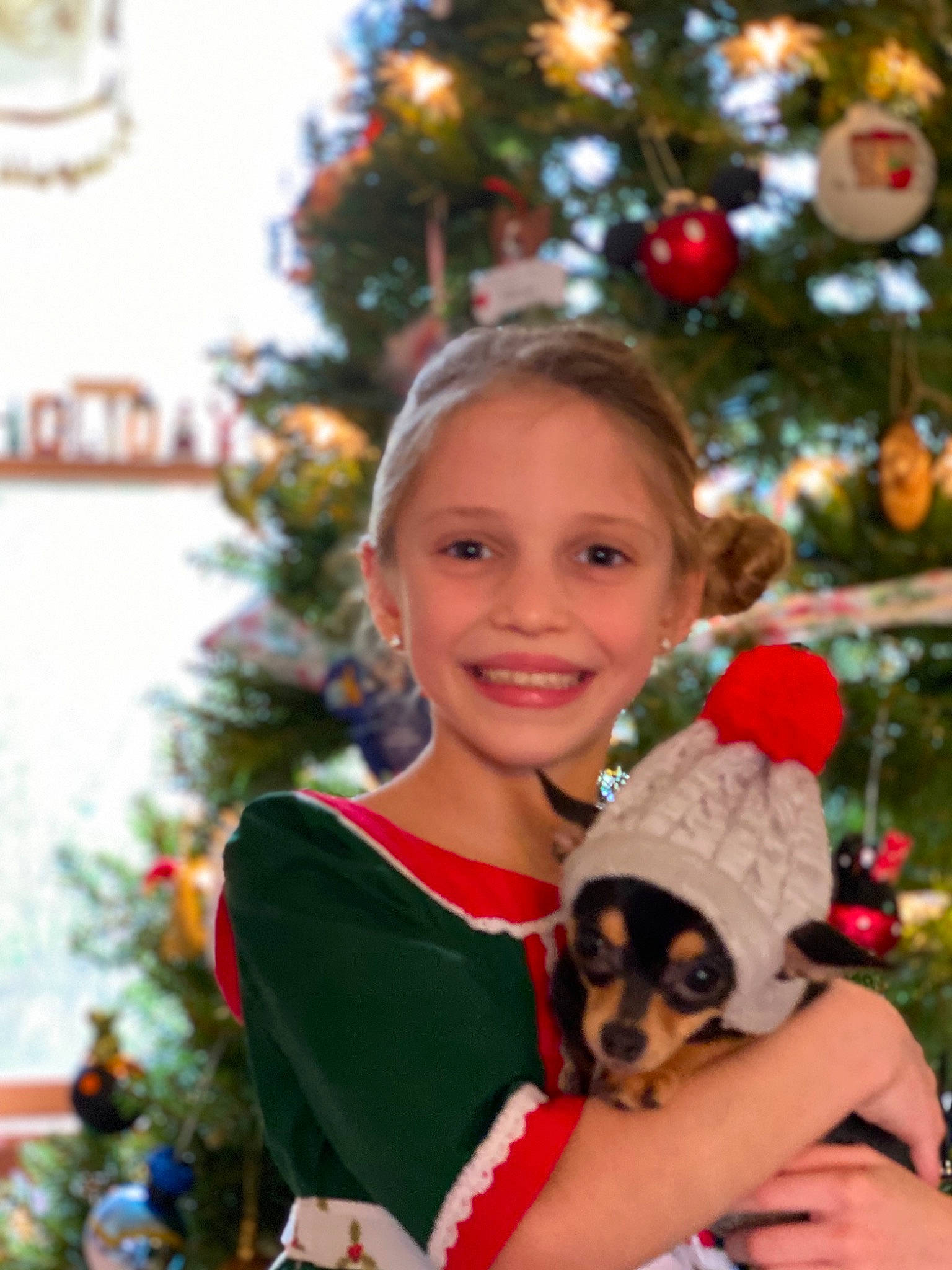 Isla joined the competition — help win amazing prizes! christmas, christmas_decoration, christmas_eve, christmas_ornament, christmas_tree, companion_dog, dog, dog_breed, event, fun, happy, holiday, holiday_ornament, human_body, ornament, smile, tradition, tree, white, winter