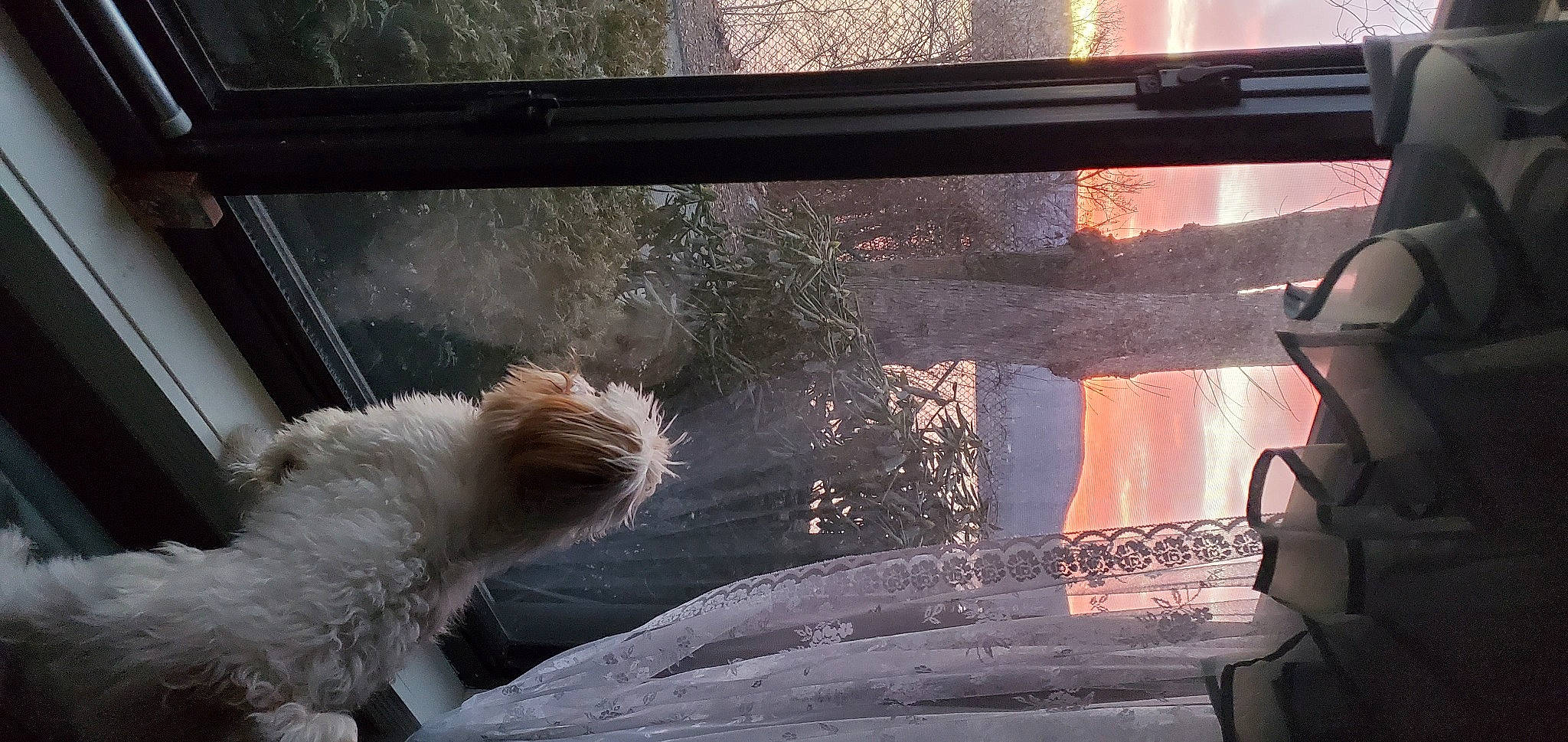 Carly joined the competition — help win amazing prizes! auto_part, automotive_exterior, automotive_lighting, automotive_mirror, automotive_window_part, fixture, fur, gas, glass, heat, hood, light, motor_vehicle, tail, tints_and_shades, vehicle_door, window, windscreen_wiper, windshield, wood