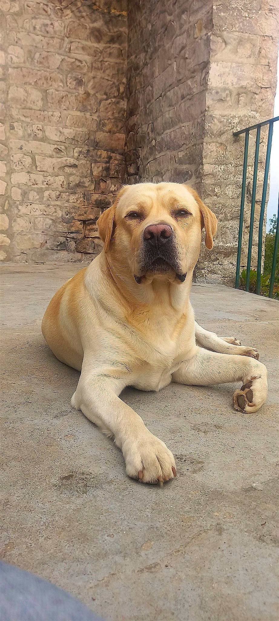 Saïko