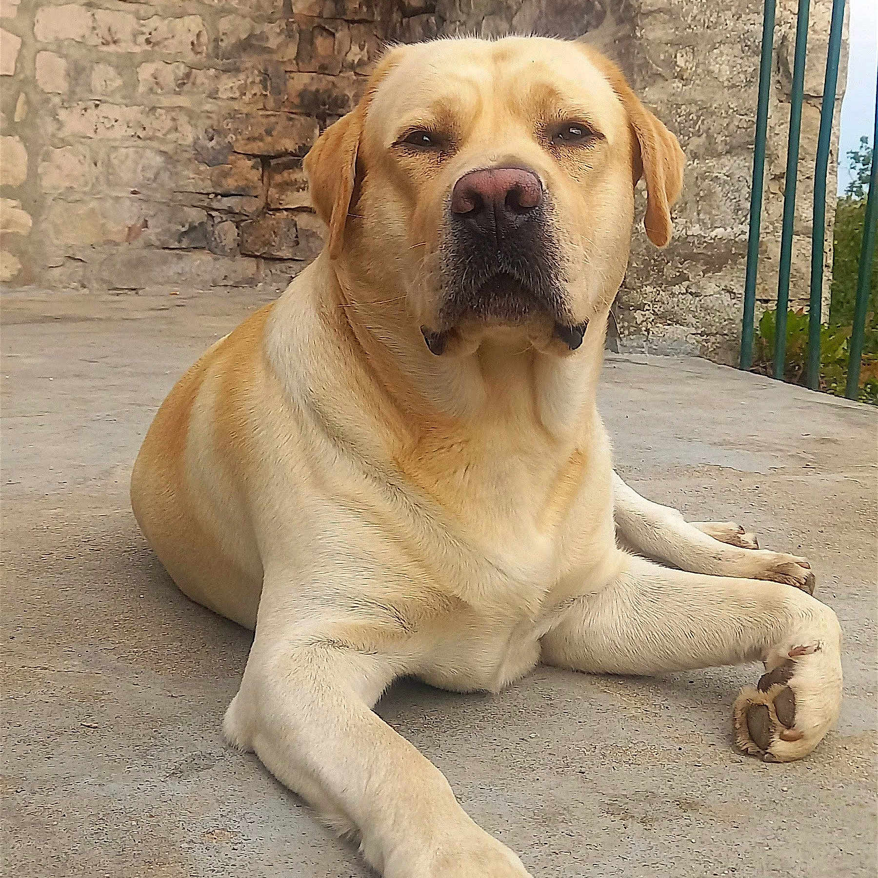 Saïko