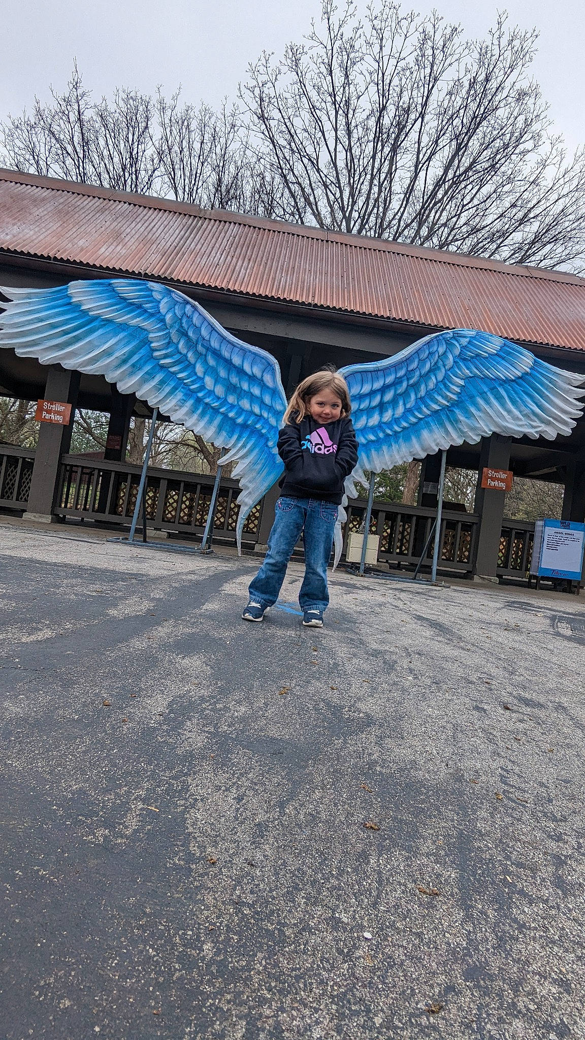 Luna is registered to the contest to win money with this photo: asphalt, city, denim, electric_blue, freezing, fun, jacket, jeans, joy, leisure, pedestrian, person, plant, recreation, road_surface, roof, sidewalk, sky, street, tree