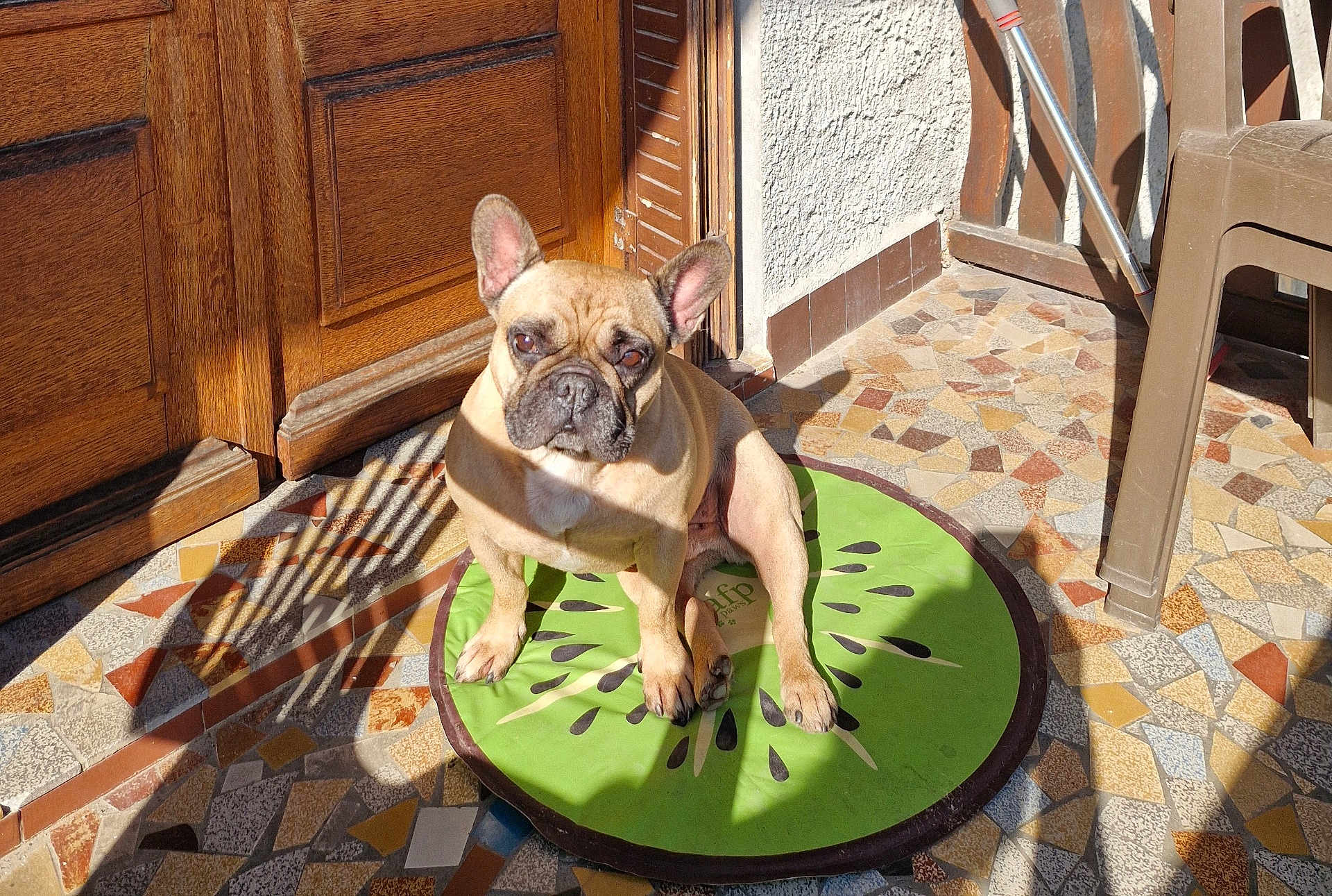 Pumba