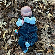 Hunter joined the competition — help win amazing prizes! baby, sleeping, denim_overalls, pacifier, autumn_leaves, outdoor, nature, child, peaceful, fall, clothing, infant, skin, face, hand, footwear, small_person, rest, relaxation, woodland