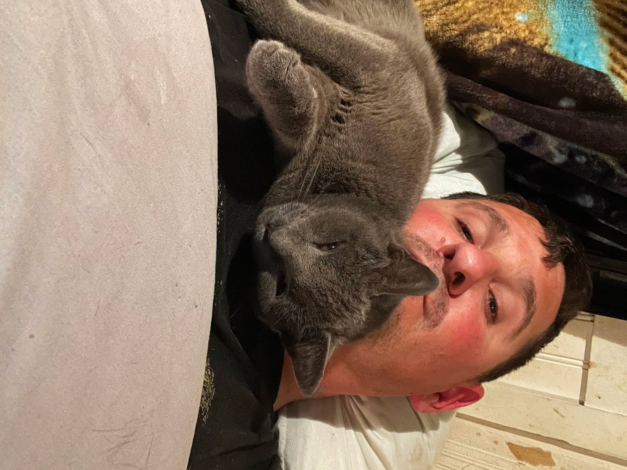 Little Blue joined the competition — help win amazing prizes! beard, comfort, dog_breed, ear, facial_hair, fawn, felidae, flesh, fur, gesture, hat, jaw, nose, sculpture, selfie, snout, sporting_group, wood, working_animal, wrinkle