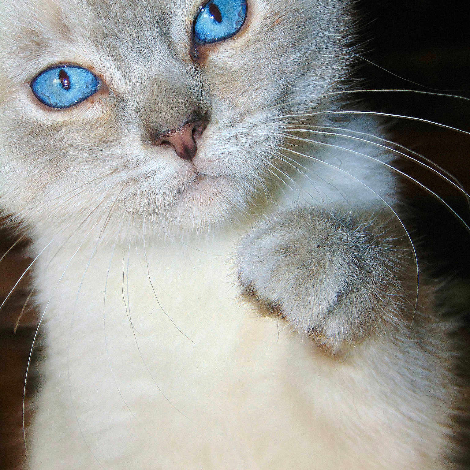Binx