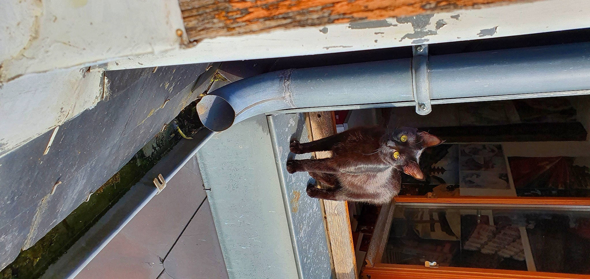 Diablo participe au concours pour gagner de l'argent avec cette photo : auto_part, automotive_exterior, beam, boats_and_boating_equipment_and_supplies, building_material, bumper, composite_material, concrete, engineering, gas, machine, metal, pipe, roof, rust, steel, vehicle_door, windshield, wood