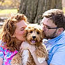 dog, couple, outdoor, tree, affection, hug, kiss, happy, pet, animal, smile, glasses, woman, man, fur, sunlight, nature, portrait, love, casual_clothing