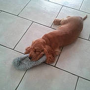 Jumper participe au concours pour gagner de l'argent avec cette photo :