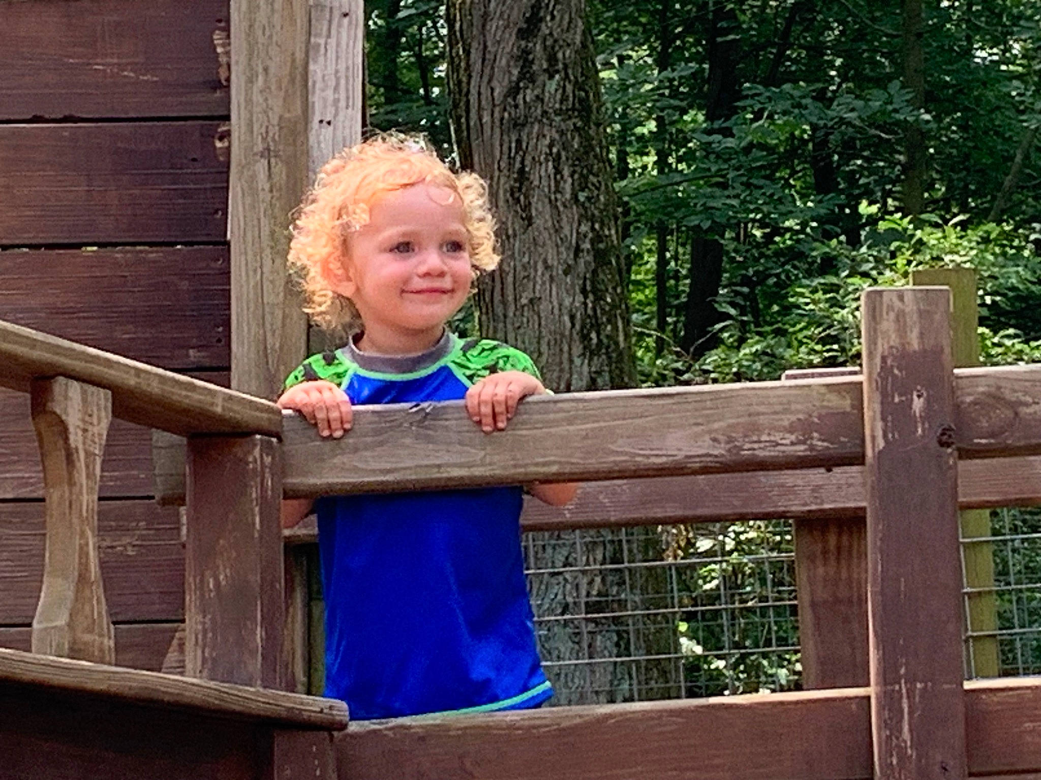 Waylon is registered to the contest to win money with this photo: child, electric_blue, fence, fun, grass, handrail, happy, human_body, joy, leaf, leisure, outdoor_furniture, people_in_nature, person, sitting, smile, t_shirt, toddler, tree, wood