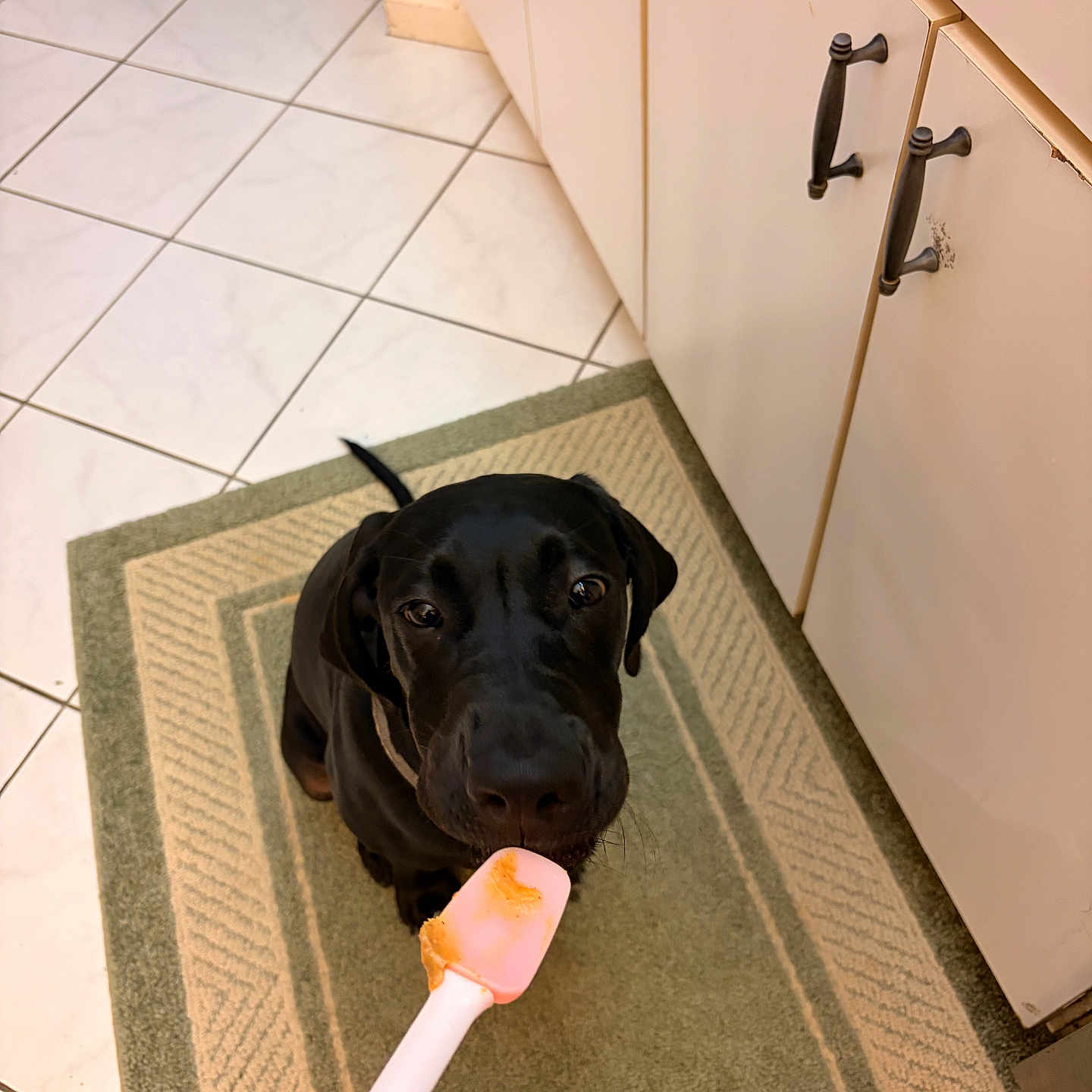 Zorro