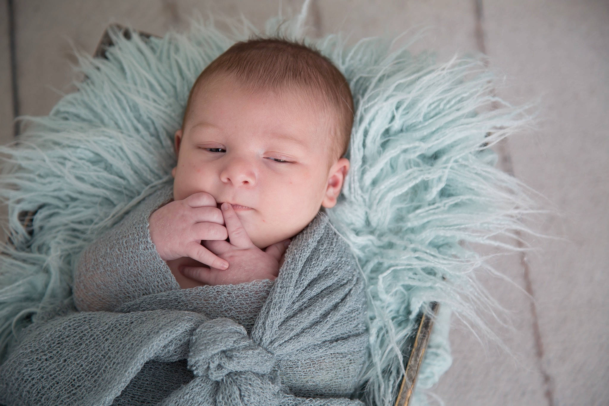Kross joined the competition — help win amazing prizes! baby, baby_sleeping, bedtime, cheek, child, ear, eye, face, fur, head, mouth, nose, person, photograph, photography, portrait, portrait_photography, skin, sleep, toddler