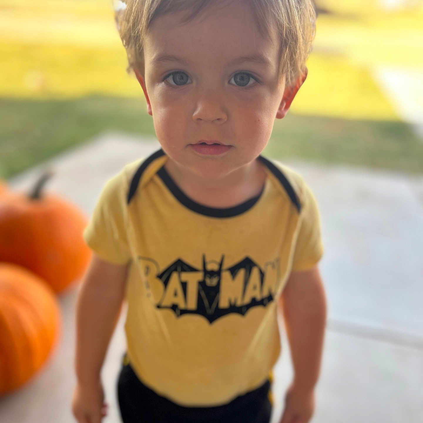 Daxton is registered to the contest to win money with this photo: bodypart, boy, child, clothing, face, food, grass, head, male, pants, person, photography, plant, portrait, produce, pumpkin, shorts, squash, t_shirt, vegetable