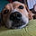 Rudy