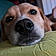 Rudy