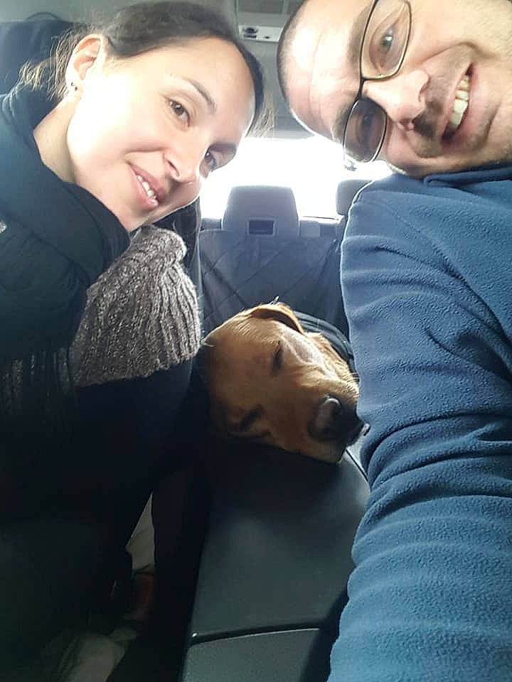 Jack participe au concours pour gagner de l'argent avec cette photo : carnivoran, dog, dog_like_mammal, ear, emotion, facial_hair, fun, girl, human, joy, mammal, mouth, neck, nose, person, selfie, smile, snout, vertebrate