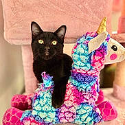 Harvest Moon joined the competition — help win amazing prizes! animal, black_cat, cat, cat_tree, colorful, cozy, curious, cute, domestic_cat, feline, indoors, pet, pink, playful, plush_toy, relaxed, soft_texture, stuffed_animal, unicorn, yellow_eyes