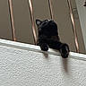 black_cat, cat, pet, animal, feline, indoor, wall, railing, metal_bars, looking_up, shadow, texture, fur, whiskers, ears, claws, quiet, curious, domestic_cat, resting