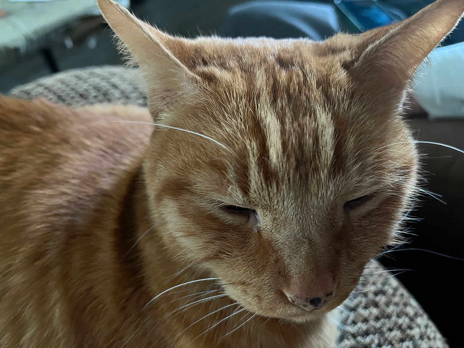Rusty