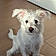 Gertie