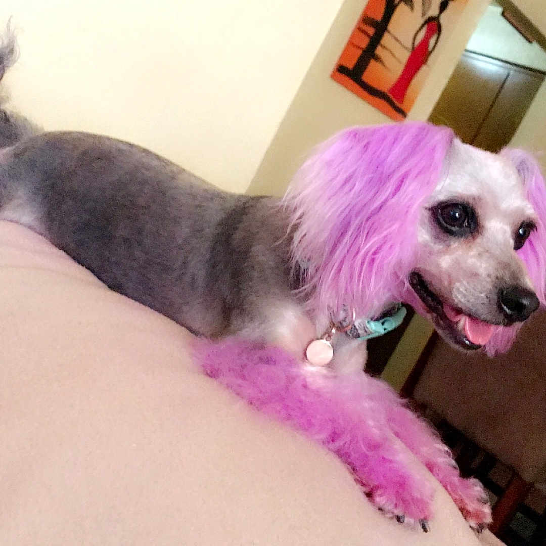 Zoey